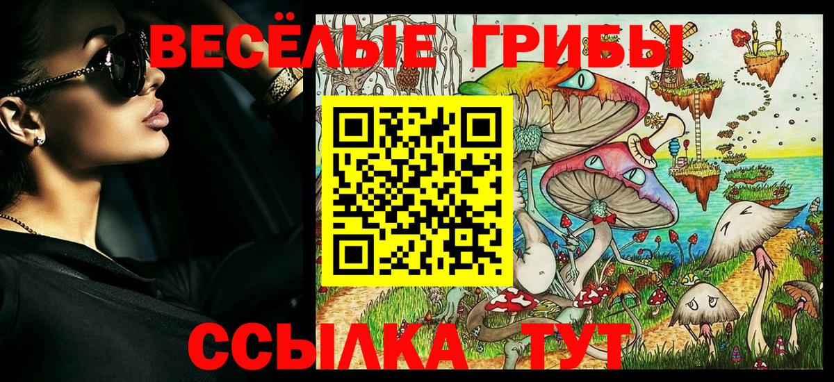 что такое   Псилоцибиновые грибы прущие грибы  Вход с VPN  Рязань 